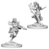 WZK73204 D&D Minis: Wave 4- Air Genasi Female Rogue