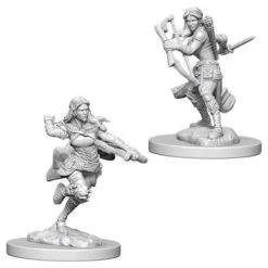 WZK73204 D&D Minis: Wave 4- Air Genasi Female Rogue