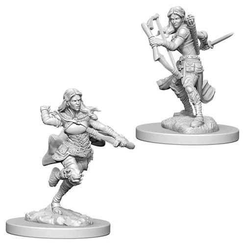WZK73204 D&D Minis: Wave 4- Air Genasi Female Rogue 1 WZK73204 D&D Minis: Wave 4- Air Genasi Female Rogue