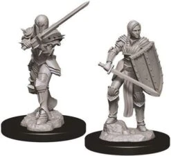 WZK73705 D&D Minis: Wave 9- Female Human Fighter