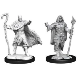 WZK90221 D&D Minis: Wave 14- Human Druid Male
