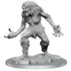 WZK90466 D&D Minis: Ice Troll Paint Night Kit