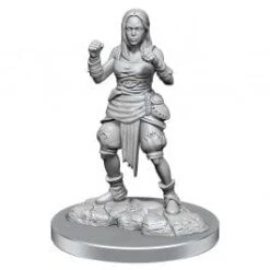 Pathfinder Battles: Deep Cuts- Half-Elf Monk Female