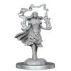 Dungeons And Dragons Nolzur's Marvelous Miniatures: W21 Dark Spellcaster And Flameskulls