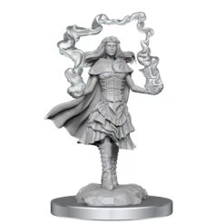 Dungeons And Dragons Nolzur's Marvelous Miniatures: W21 Dark Spellcaster And Flameskulls