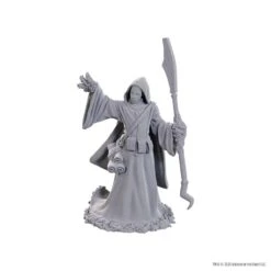 Dungeons And Dragons Nolzur'S Marvelous Miniatures: W25 Star Spawn Larva Mage